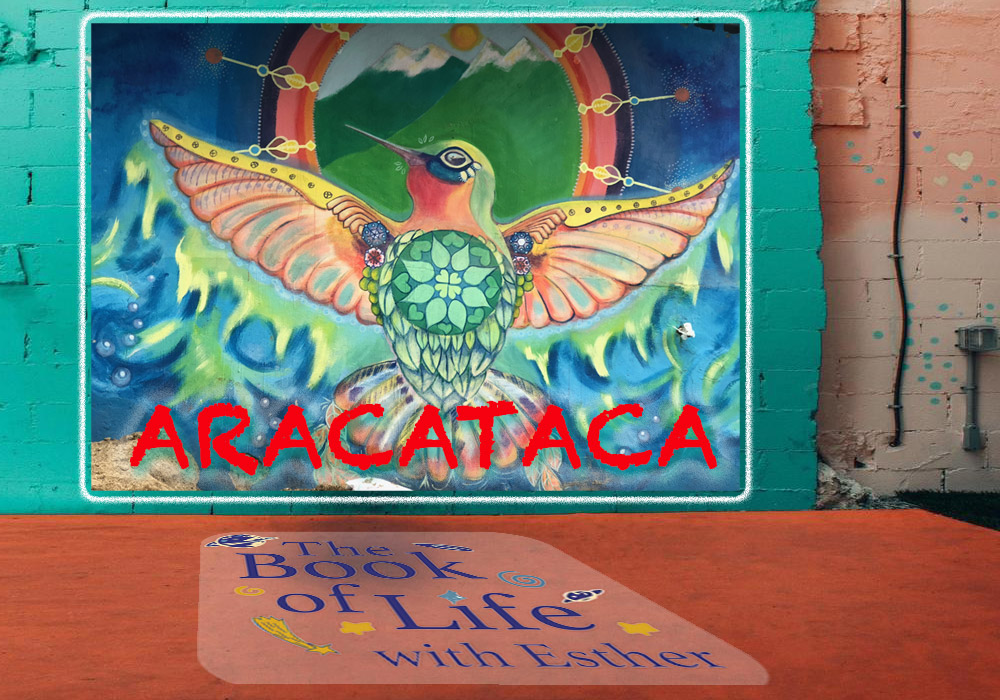ARACATACA